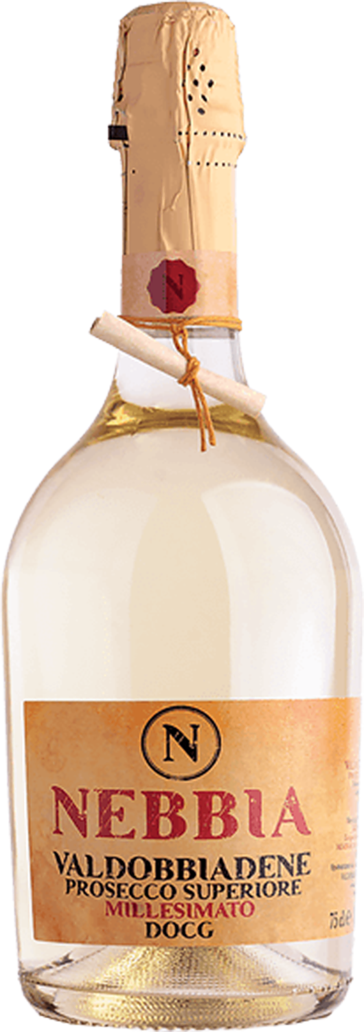 Игристое вино Nebbia Conegliano Valdobbiadene Prosecco DOCG Superiore Millesimato Vedova, 0.75 л